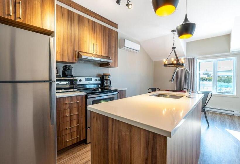 带1个卧室带观景的公寓, Le Viking Resort & Marina