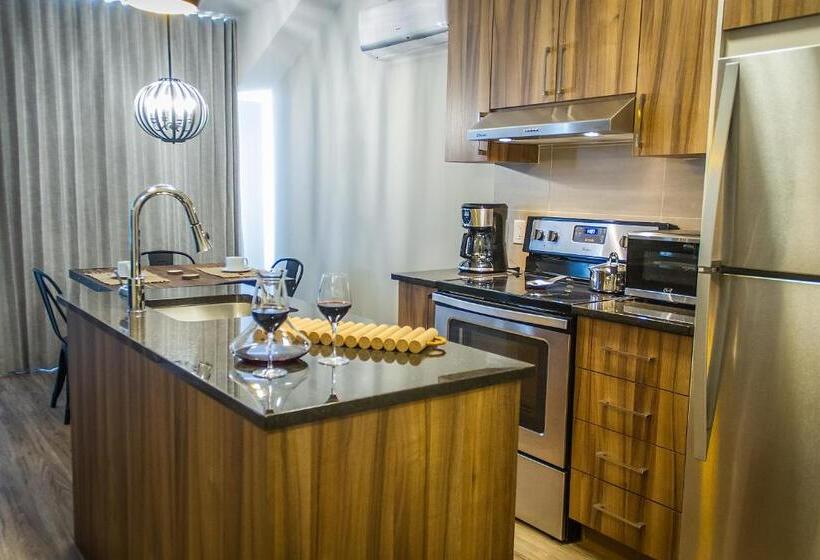 带1个卧室带观景的公寓, Le Viking Resort & Marina