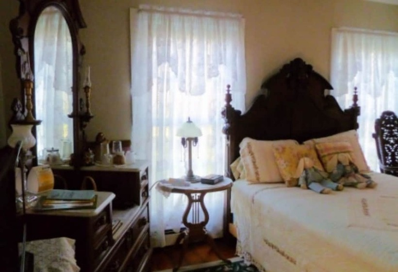 스탠다드 룸, Belle Aire Mansion Guest House