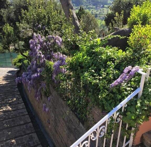 سوییت با چشم‌انداز دریا, Villa Silvio