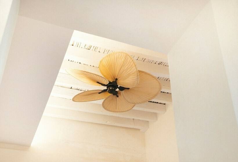 اتاق پرمیوم, Veintiuno Emblematic Hotels Adults Only