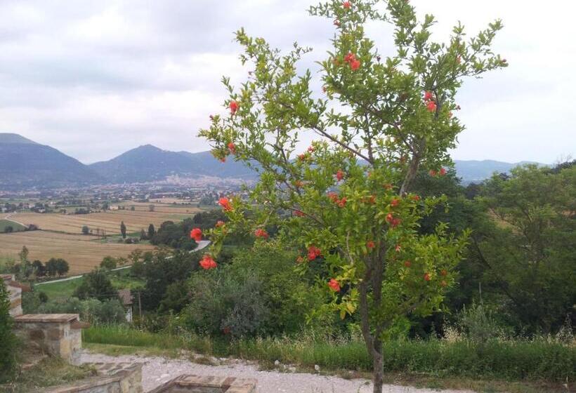 דירת חדר עם טרסה, Fonte Chiara