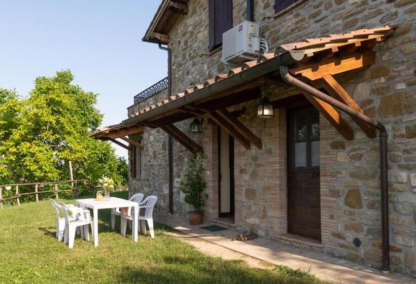 דירת שני חדרים, Fonte Chiara