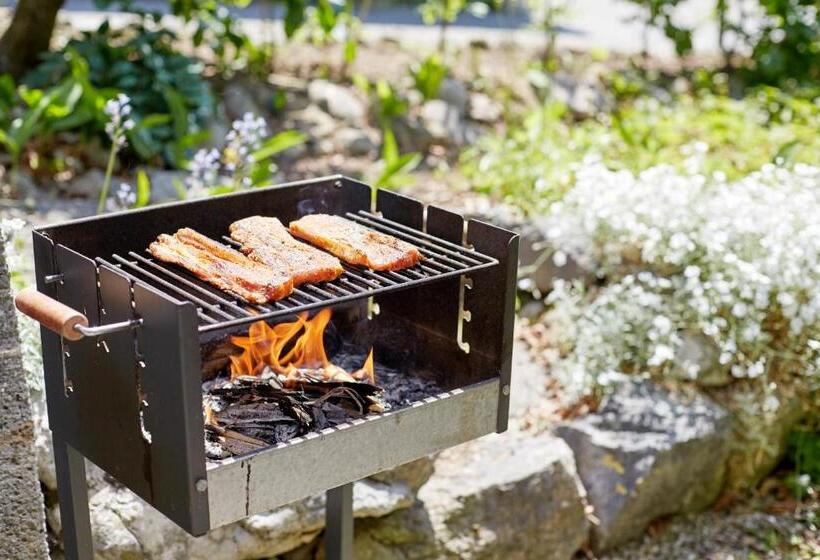 آپارتمان 1 خوابه, Good Rooms Gmbh Bad Ischl