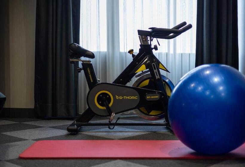 キングサイズベッドのスタンダードルーム, Tryp By Wyndham Istanbul Sancaktepe