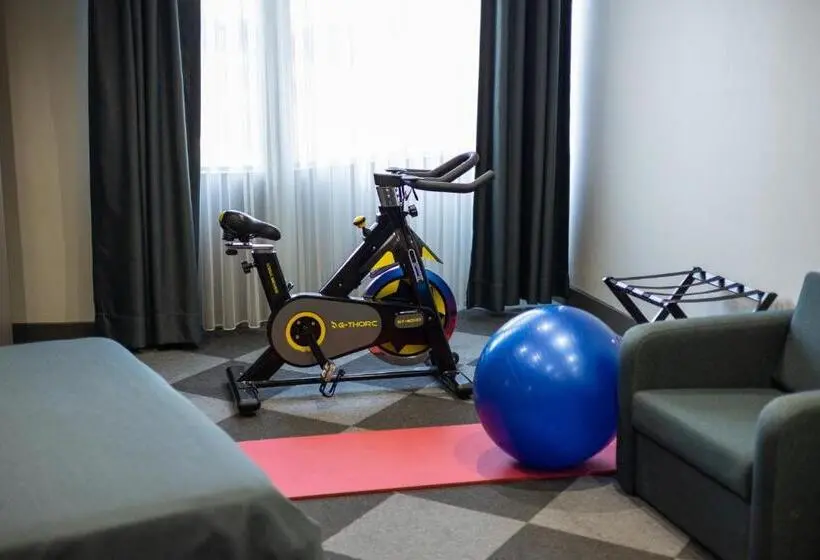 キングサイズベッドのスタンダードルーム, Tryp By Wyndham Istanbul Sancaktepe