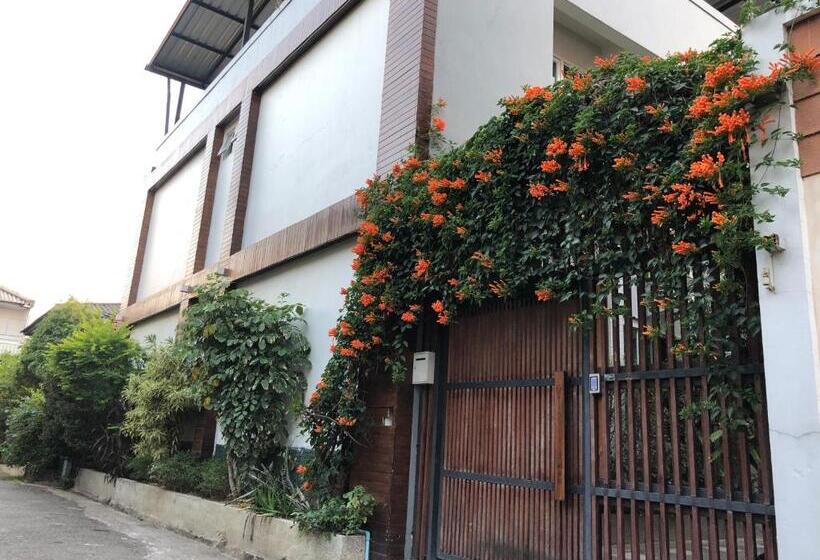 Номер Стандарт, Celosia Chiang Mai