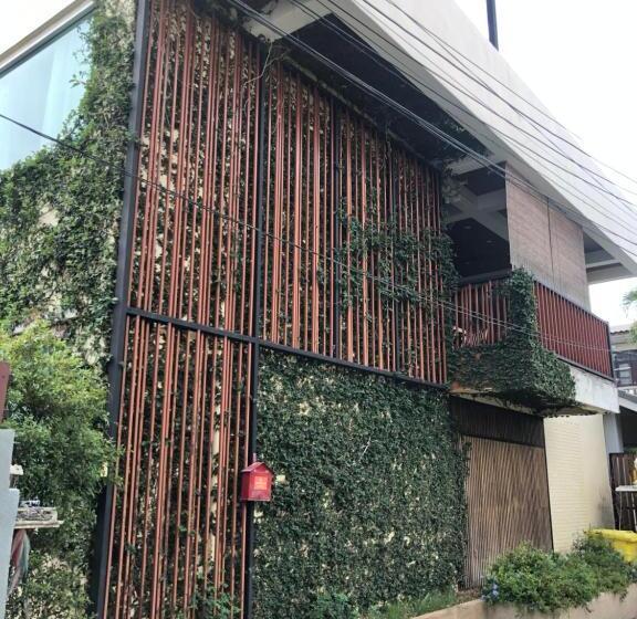 家庭间, Celosia Chiang Mai