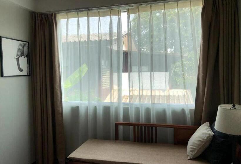 家庭间, Celosia Chiang Mai