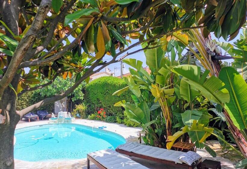 带大床的高级房间, Blue Dream Cannes Guest House