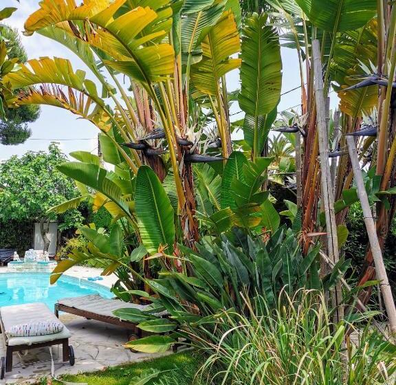 豪华房间, Blue Dream Cannes Guest House