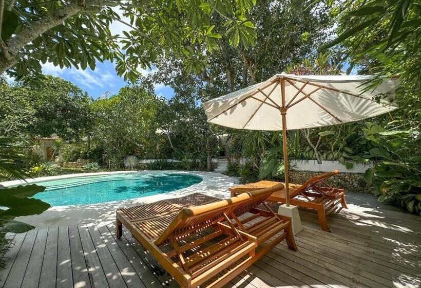 スイート, Bodhi Bingin