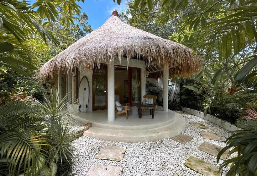 スイート, Bodhi Bingin