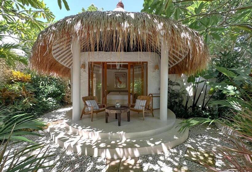 スイート, Bodhi Bingin