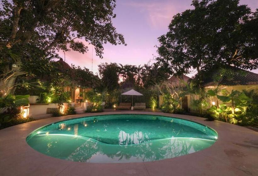 スイート, Bodhi Bingin