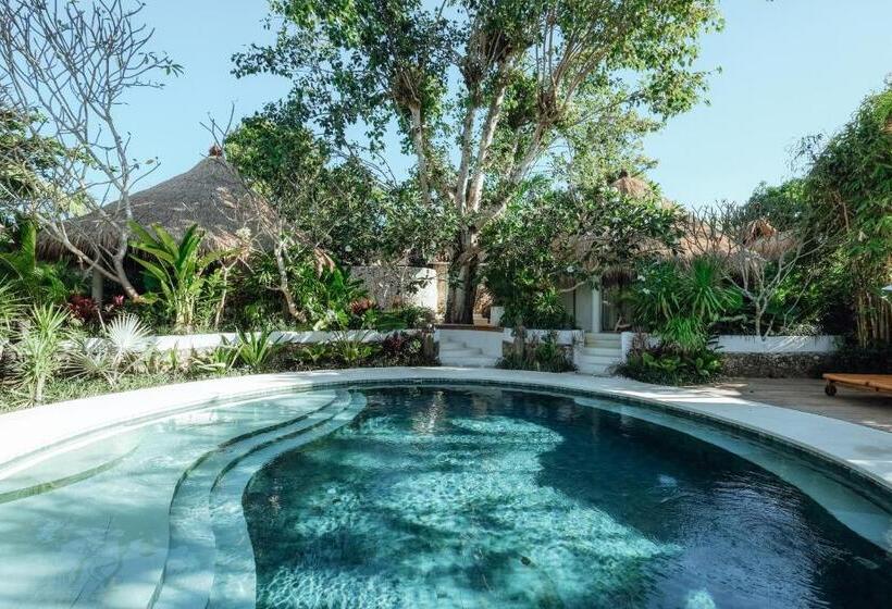 テラス付きスタンダードワンルーム, Bodhi Bingin