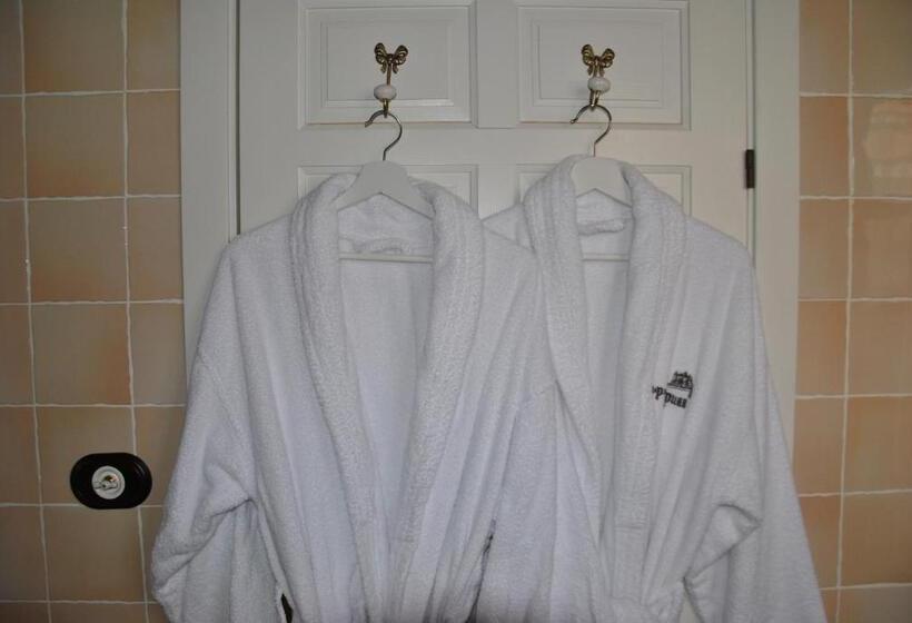 سوئیت پرزیدنت, Suites La Posada De Pilar