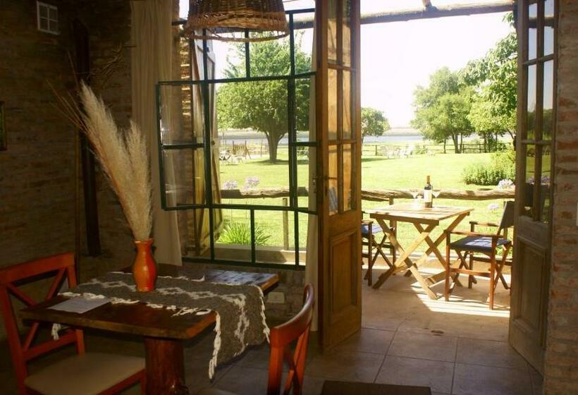 스탠다드 스튜디오, Vistal Río