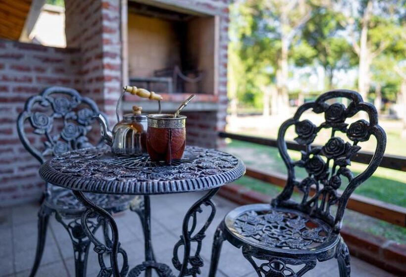 Студия Стандарт, Vistal Río