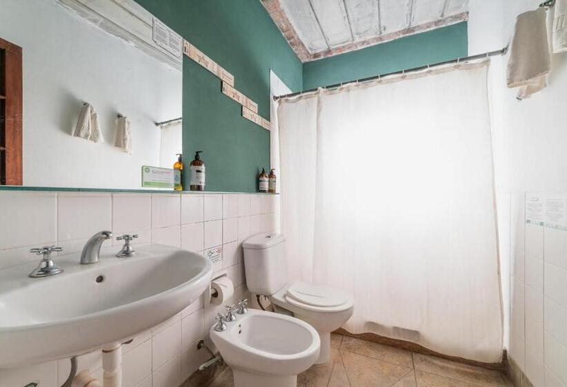 スタンダードスタジオ, Vistal Río