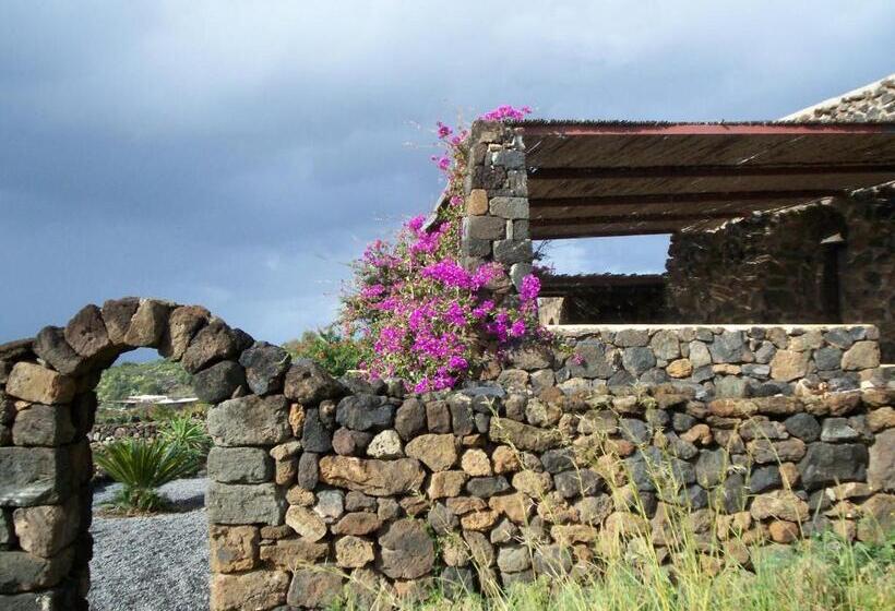 플러스 스탠다드 룸, Agriturismo Zibibbodoro