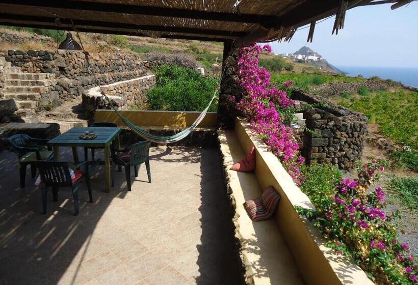 스탠다드 룸, Agriturismo Zibibbodoro