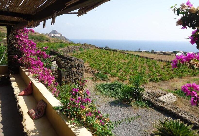 스탠다드 룸, Agriturismo Zibibbodoro