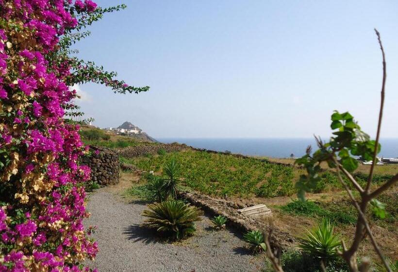 수피리어 룸, Agriturismo Zibibbodoro