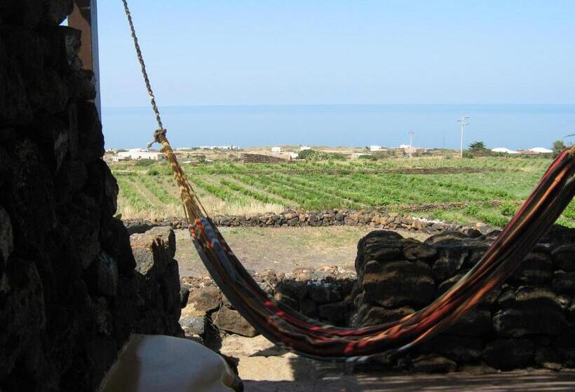 플러스 스탠다드 룸, Agriturismo Zibibbodoro