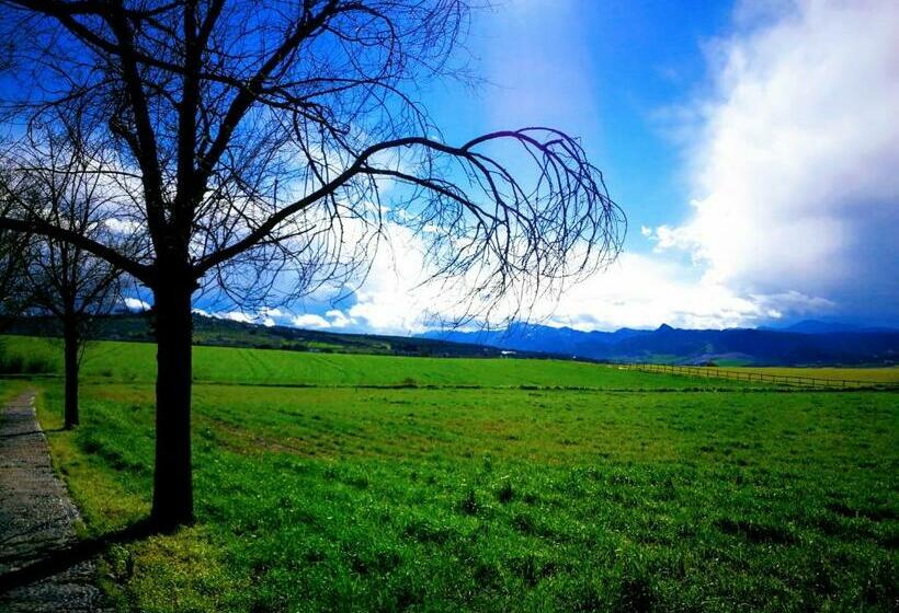 标准间, Ronda Moments