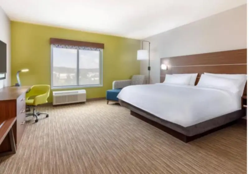 身障者適用キングサイズベッドルーム, Holiday Inn Express Calhoun South By Ihg