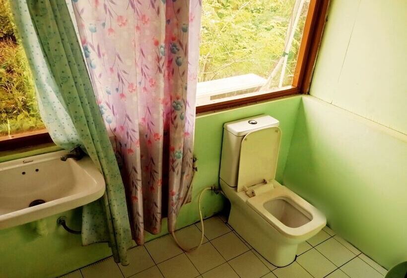 اتاق اکونومی, Dream House Guest House & Restaurant