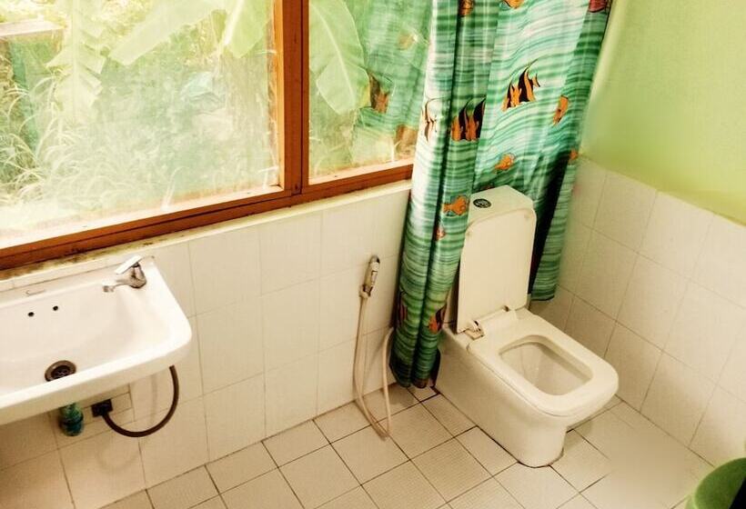 اتاق اکونومی, Dream House Guest House & Restaurant