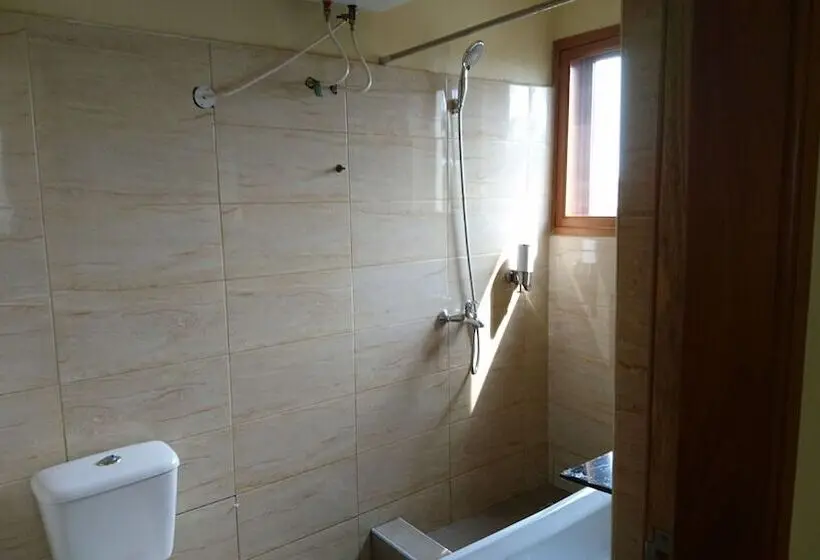 エクゼクティブワンルーム, The Golden Apple Guest House
