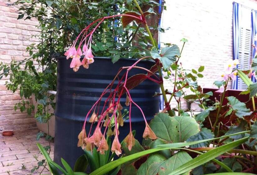 ‫فيلا غرفة نوم واحدة, Palazzo Romani Adami