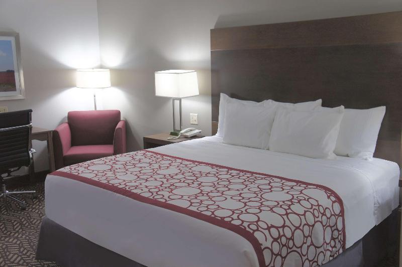 스탠다드 룸 킹사이즈 침대, La Quinta By Wyndham Tuscaloosa Mcfarland