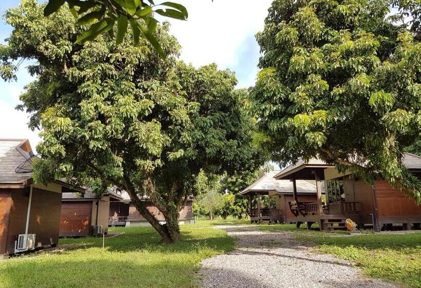 スタンダードルーム, Phutawan Pundao