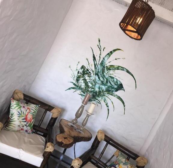 اتاق لوکس, Puerto Antiguo