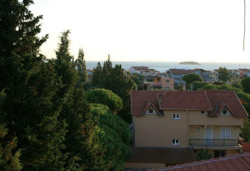 סוויטה עם טרסה, Sakran