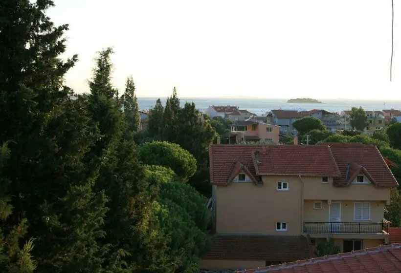 Suite with Terrace, Sakran