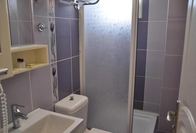 חדר סטנדרט יחיד, Sakran