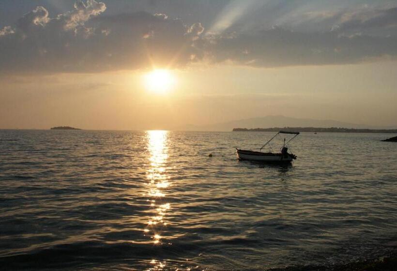 סוויטה עם טרסה, Sakran