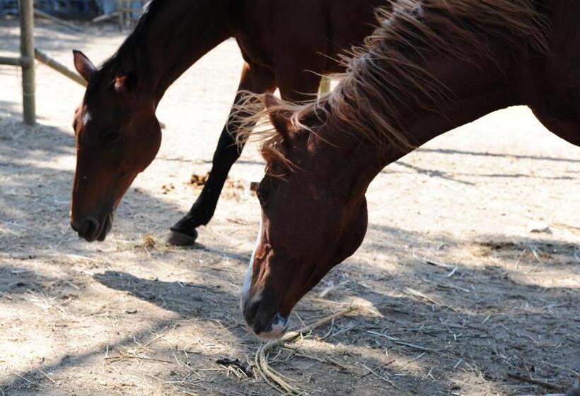 Апартаменты 3 Спальни, La Casa Colonica