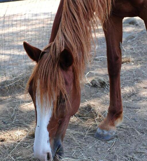 Апартаменты 3 Спальни, La Casa Colonica