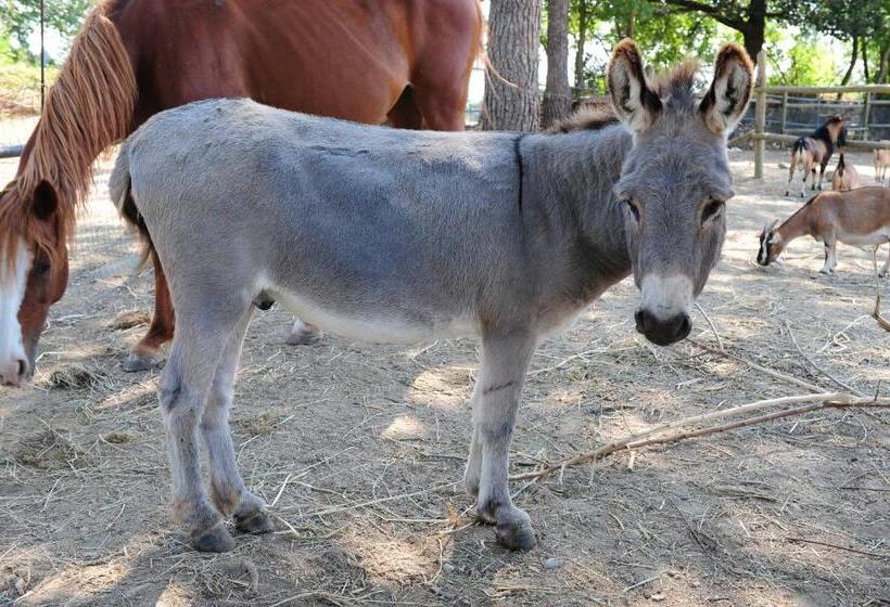 Апартаменты 3 Спальни, La Casa Colonica