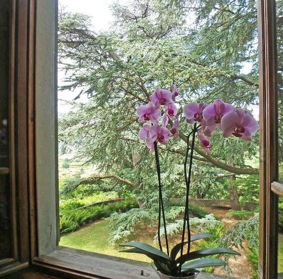 디럭스 스튜디오, Villa San Simone