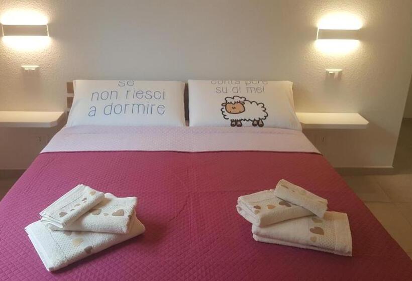 スタンダードルーム, B. Sinis