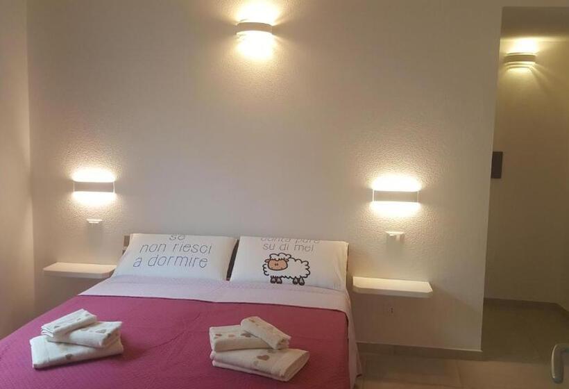 スタンダードルーム, B. Sinis