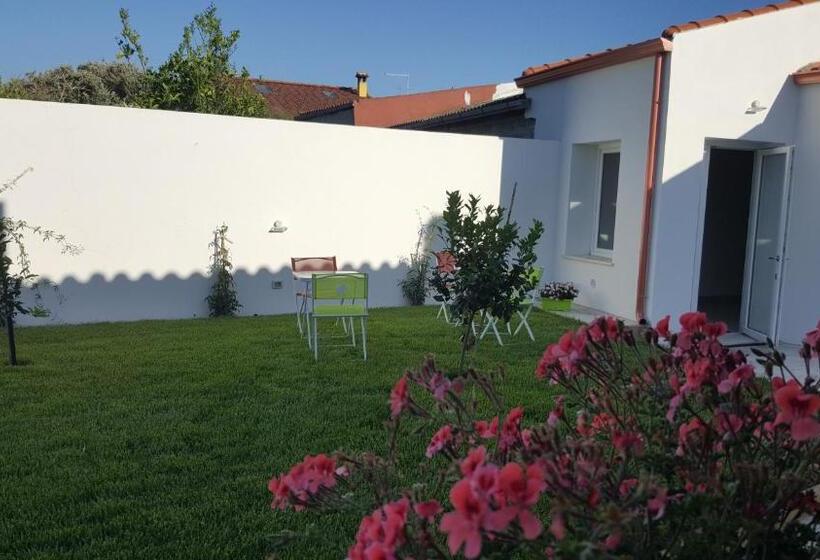 スタンダードトリプルルーム, B. Sinis