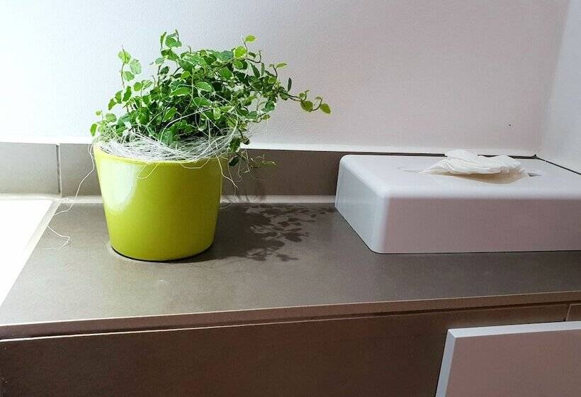 标准单人间, Sleepysleepy Hotel Dillingen